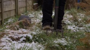 Planning Outdoor Improvements With Landscaping Services in Allen