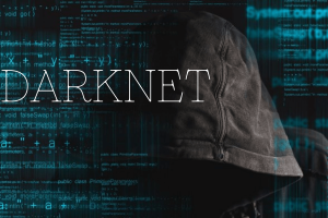 The Hidden Structure of the Dark Net Army