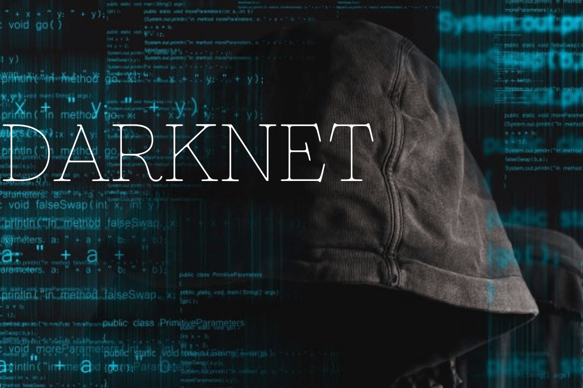The Hidden Structure of the Dark Net Army