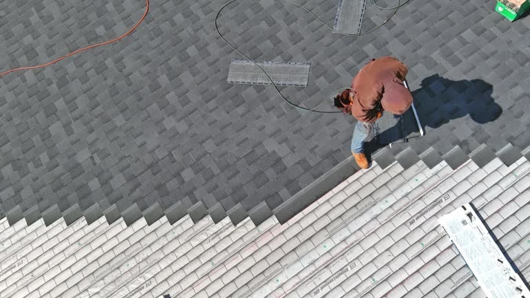 Expert Roofer Bellevue for Commercial Roofing Solutions