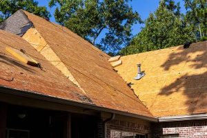 Professional Roofers in Silver Spring MD With Fast Service