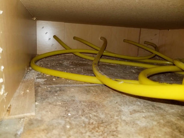 Essential Indianapolis Crawl Space Services for Homeowners