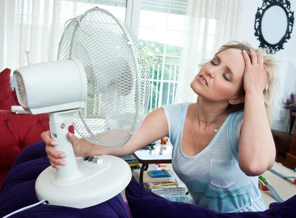 Discover Professional HVAC Care with Wicomico Heating & Air Conditioning